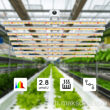 แสงไฟ LED 600W Hydroponic